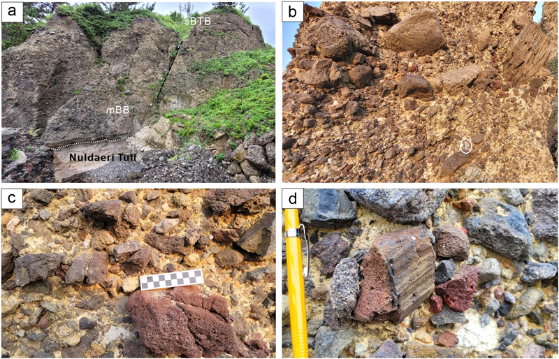 Fig. 7. Fig. 7.
