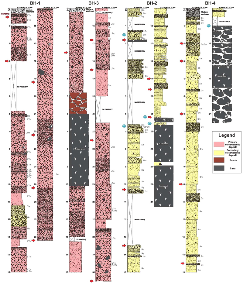 Fig. 7. Fig. 7.
