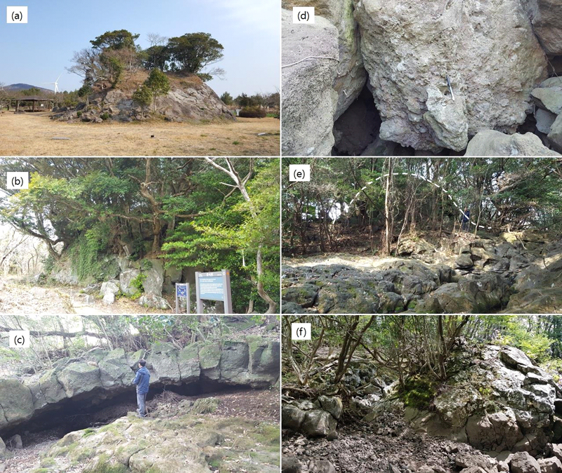 Fig. 2. Fig. 2.