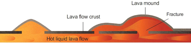 Fig. 6. Fig. 6.