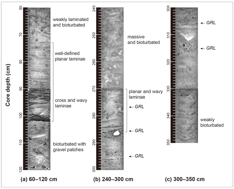 Fig. 4. Fig. 4.