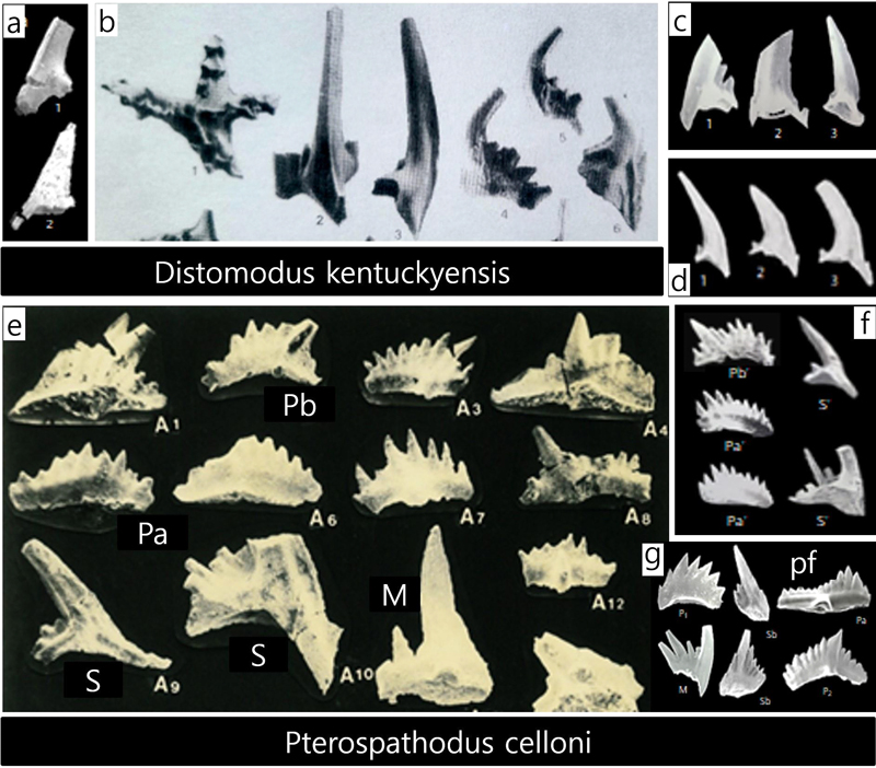 Fig. 4. Fig. 4.