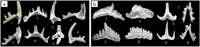 Fig. 5. Fig. 5.