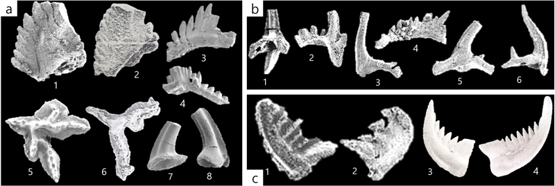 Fig. 10. Fig. 10.
