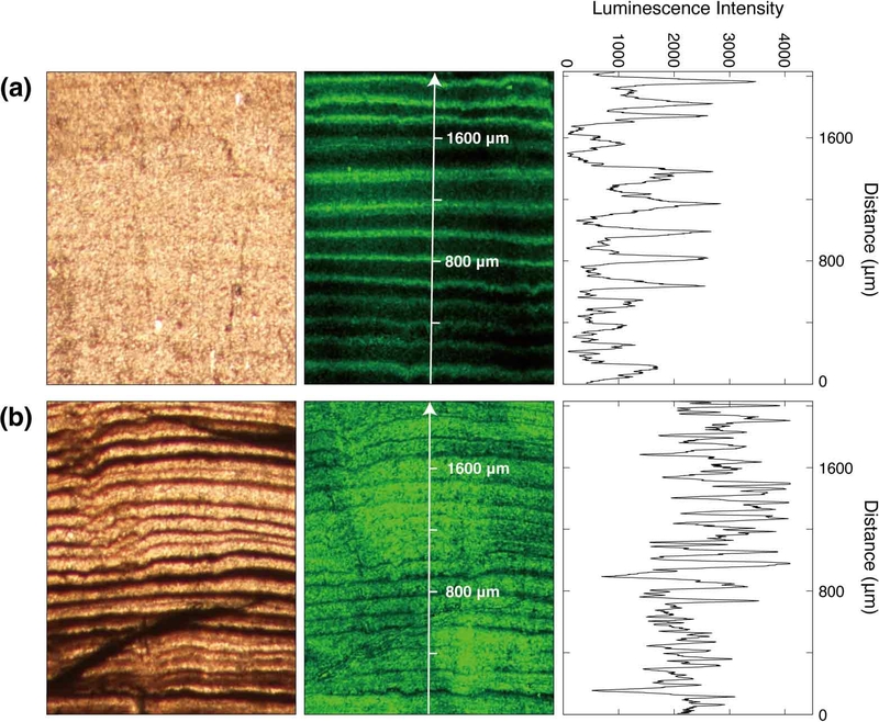 Fig. 3. Fig. 3.
