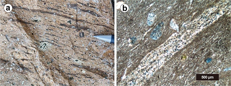 Fig. 5. Fig. 5.