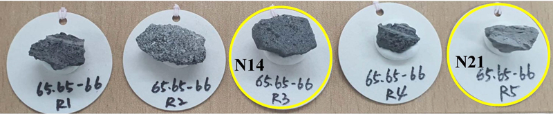 Fig. 2. Fig. 2.