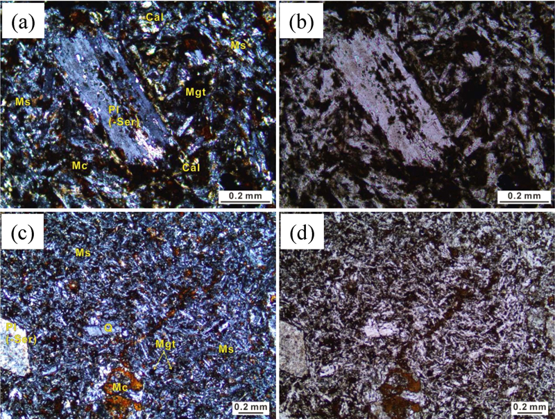 Fig. 4. Fig. 4.
