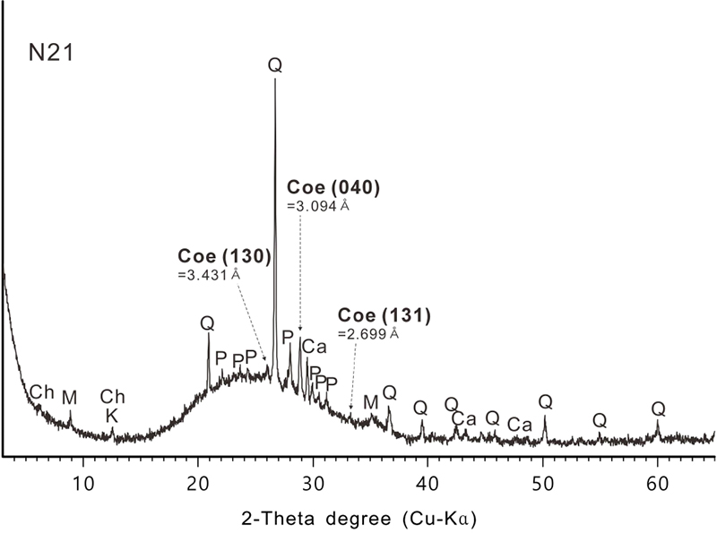 Fig. 8.