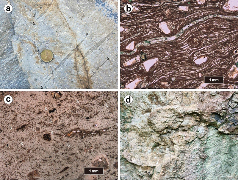 Fig. 7.