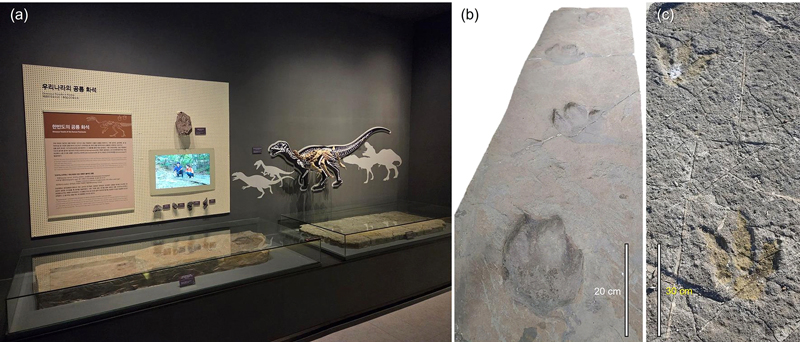 Fig. 12.