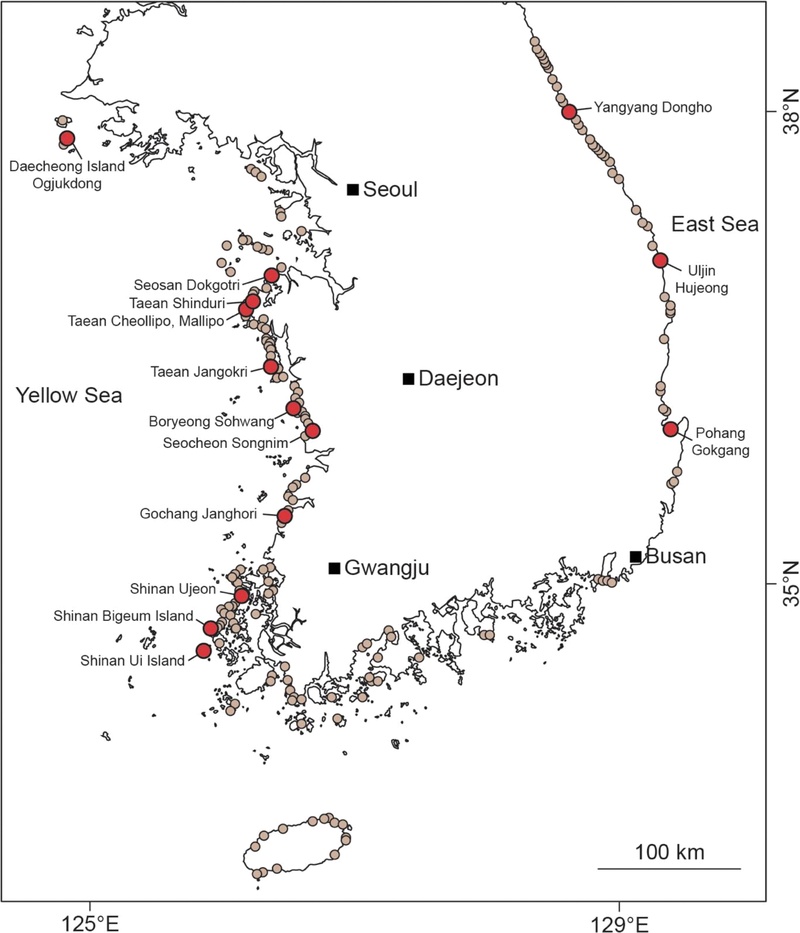 Fig. 2. Fig. 2.