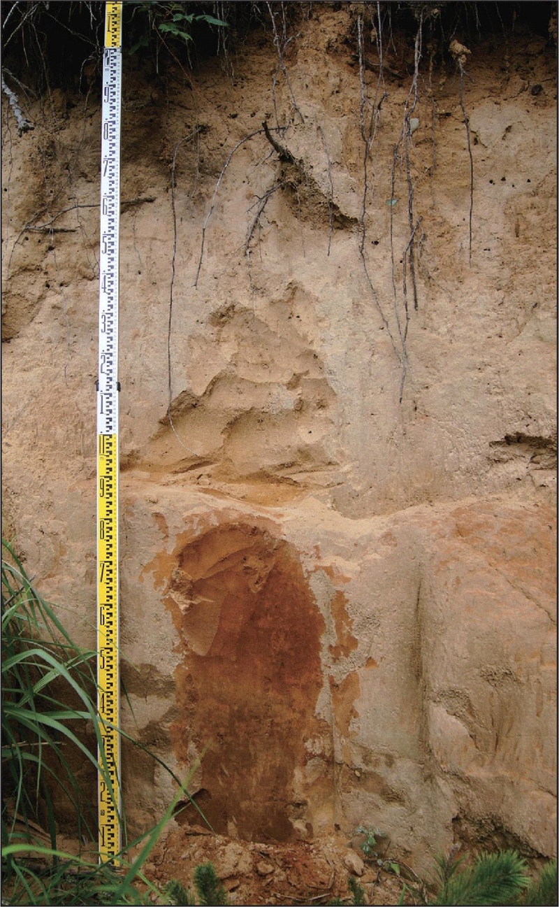 Fig. 6.