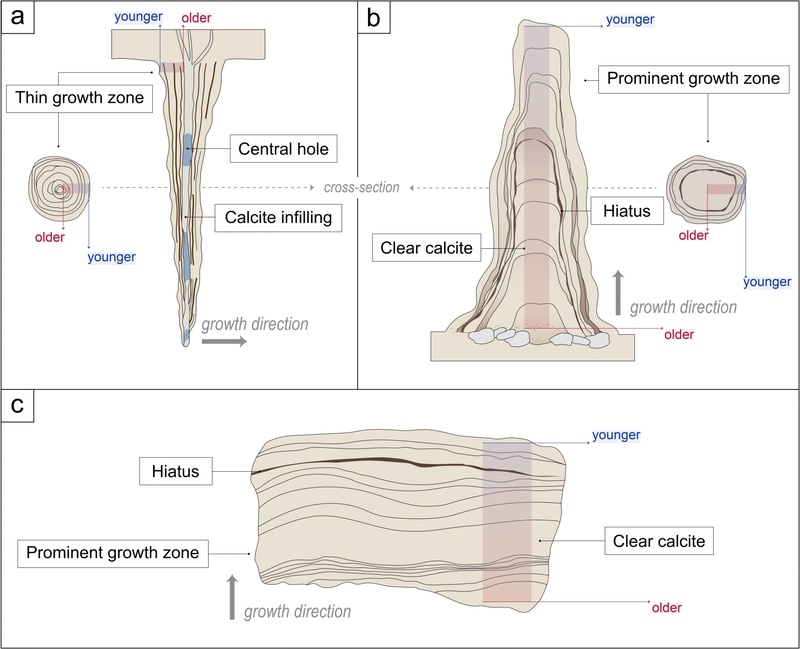 Fig. 6.