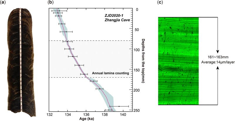 Fig. 12. Fig. 12.