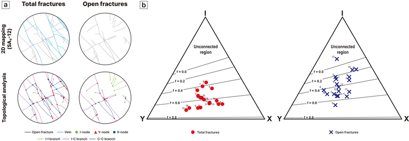Fig. 12.