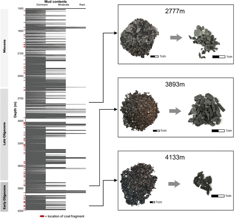 Fig. 2. Fig. 2.