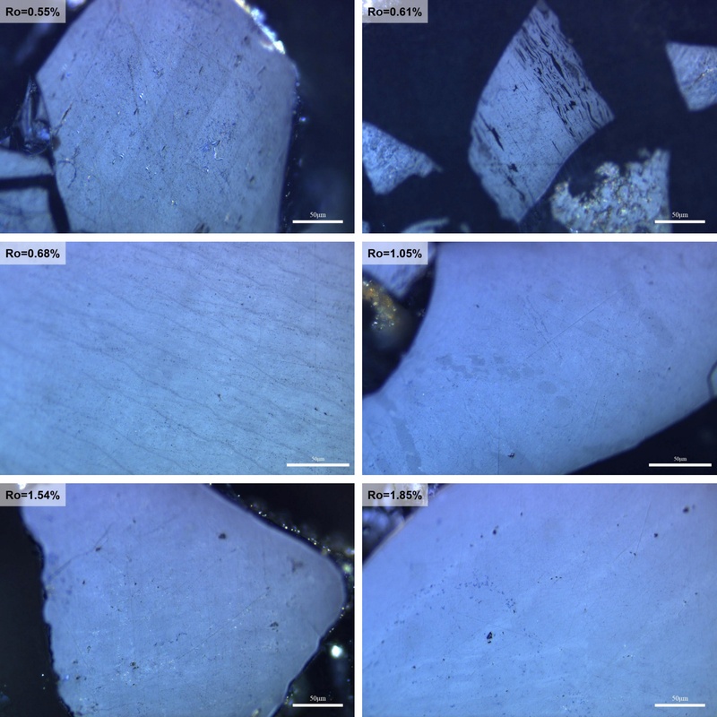 Fig. 4. Fig. 4.