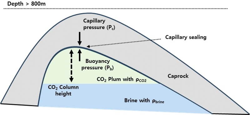 Fig. 3. Fig. 3.