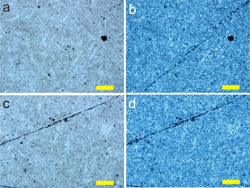 Fig. 5. 