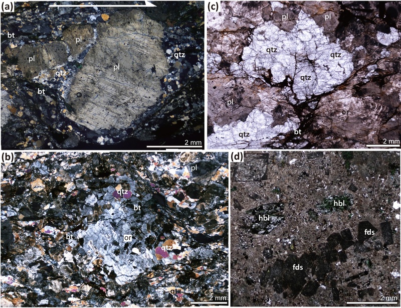 Fig. 6. Fig. 6.