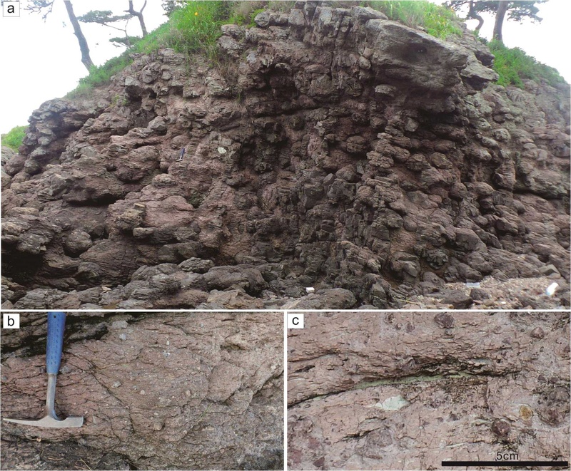 Fig. 3. 