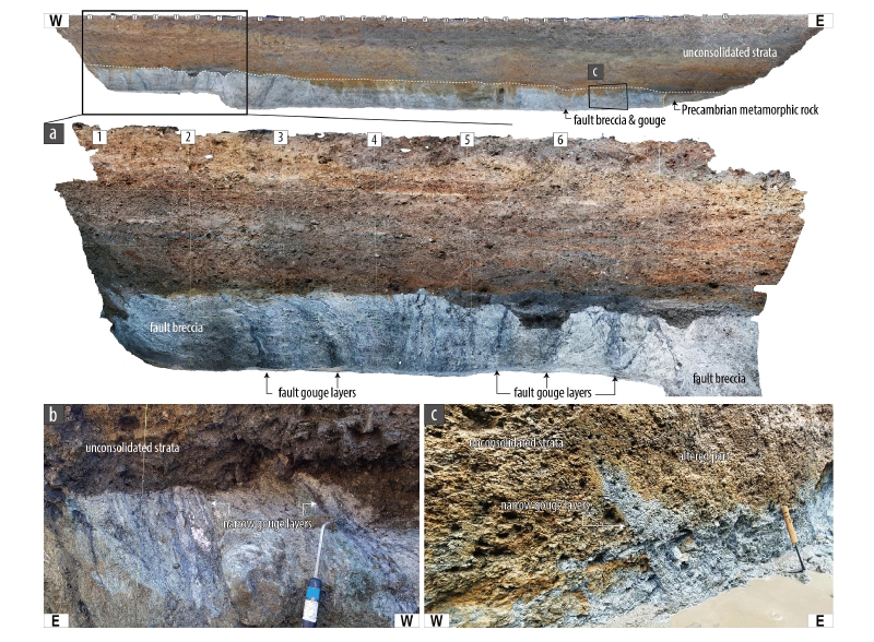 Fig. 4. Fig. 4.